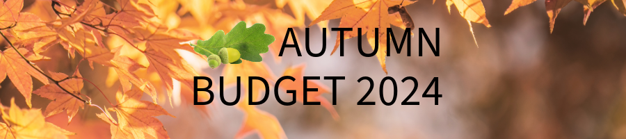 Autumn budget 2024.2